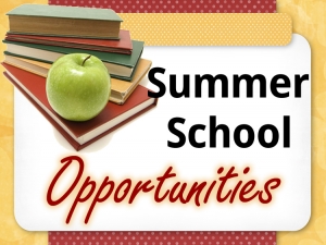 Universitatea de Stiinte Aplicate de la Haga te invita sa aplici pentru scoala de vara!
