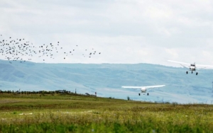 Castigatorii BattleLab Robotica 2014 si UBBots 2014 au zburat deasupra Clujului