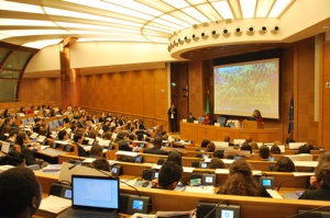 Sunt puse la bataie 100 de burse pentru Rome Model United Nations