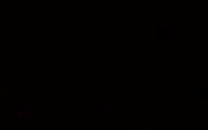 24 Martie - Zi de doliu national pentru a comemora victimele atentatului de la Bruxelles