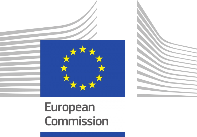 Vrei sa faci un stagiu in Departamentul Politic al Reprezentantei Comisiei Europene?