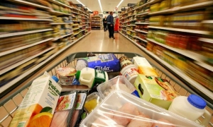 Food Waste Combat - discutie despre risipa alimentara si proiectie de film documentar