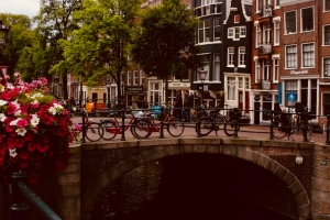 Munca și relocarea în Olanda: se merită sau nu?